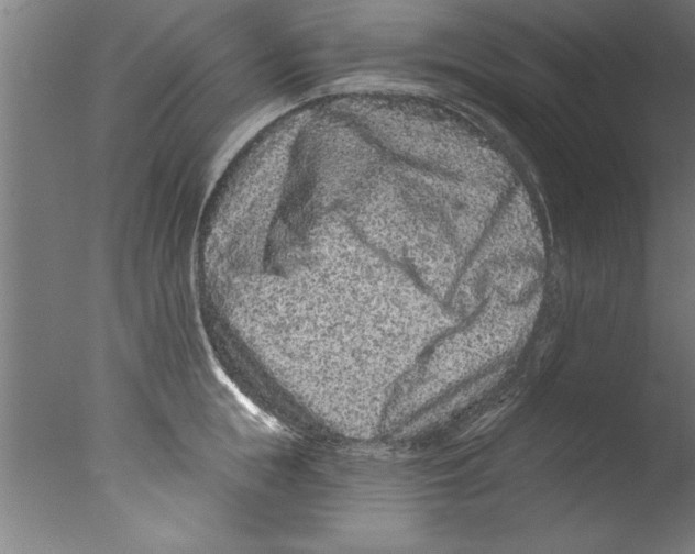 X0000076100855200610202134