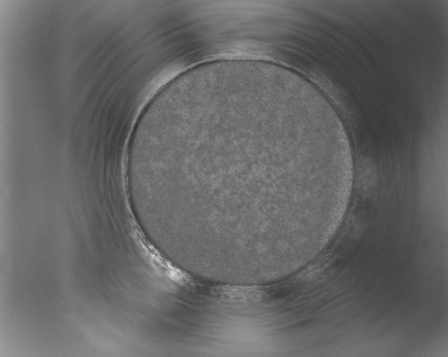 X0000076100856200610202134