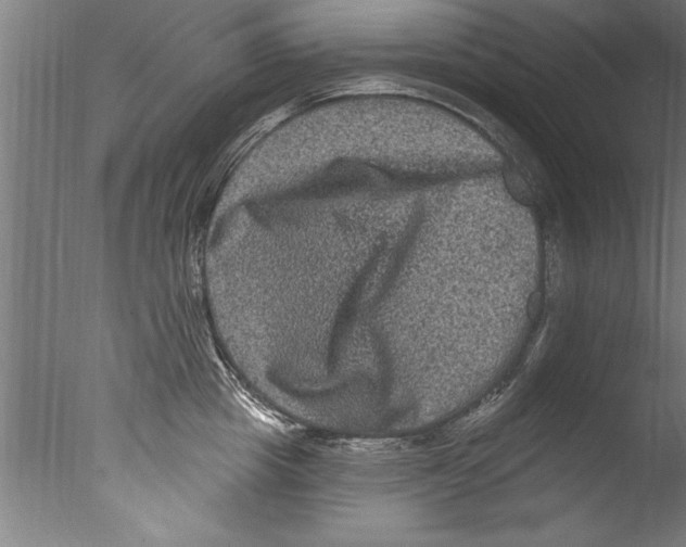 X0000076100857200610202134