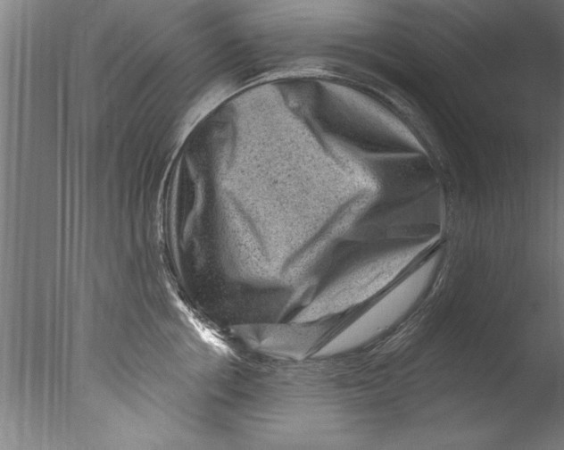 X0000076100858200610202134