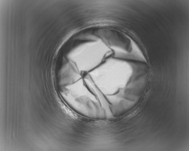 X0000076100859200610202134