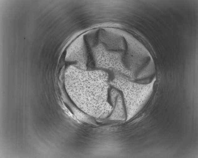 X0000076100860200610202134