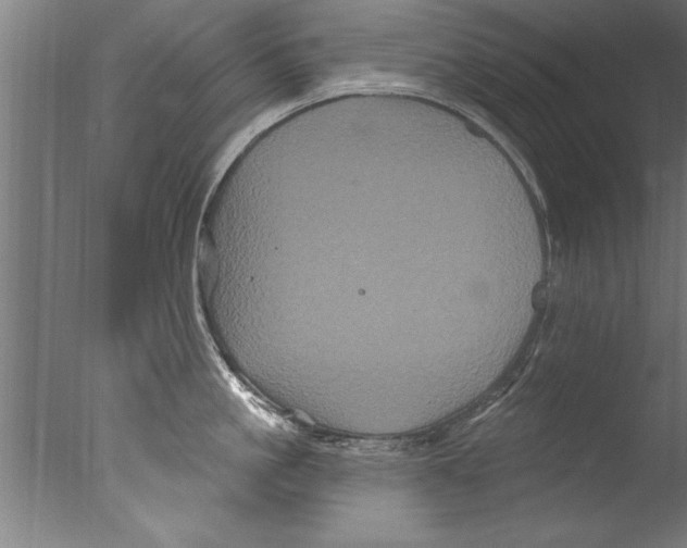 X0000076100861200610202134