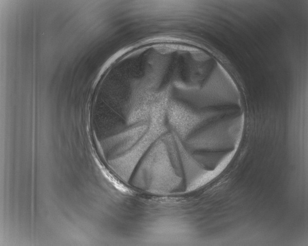 X0000076100862200610202134