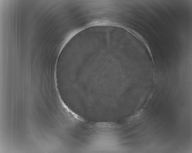 X0000076100863200610202134