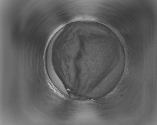 X0000076100864200610202134