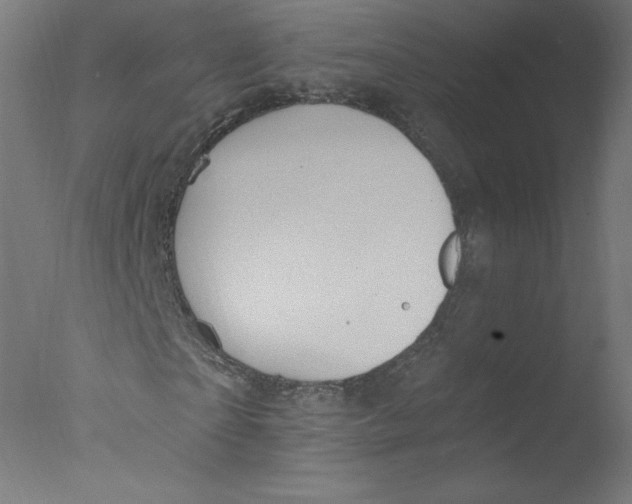 X0000076100865200610202133