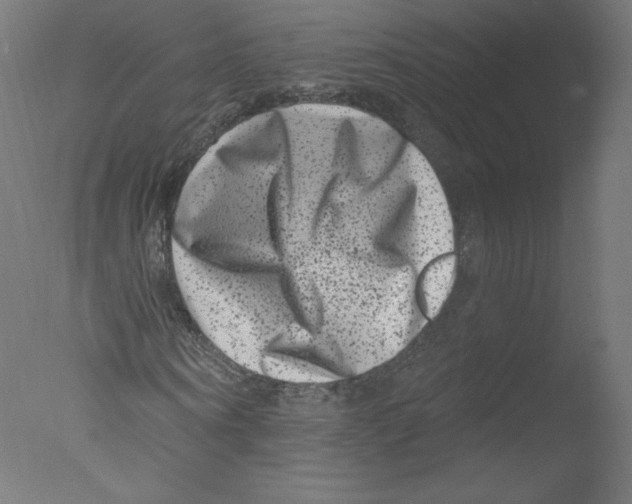 X0000076100866200610202133