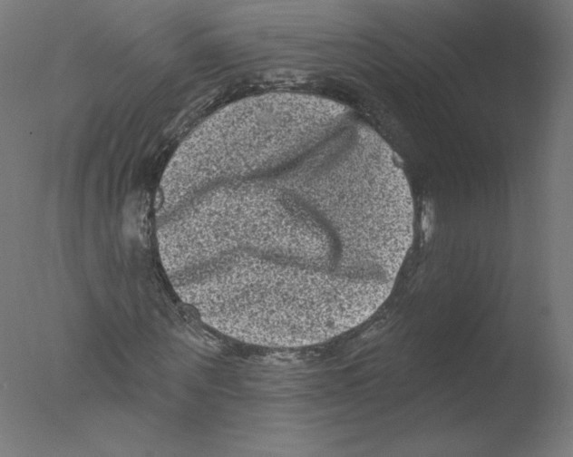 X0000076100867200610202133