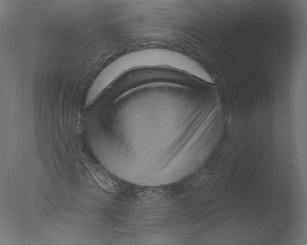 X0000076100868200610202133