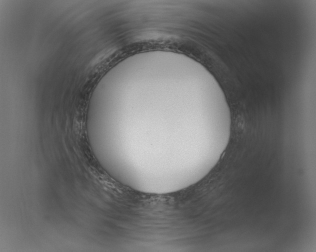 X0000076100869200610202133