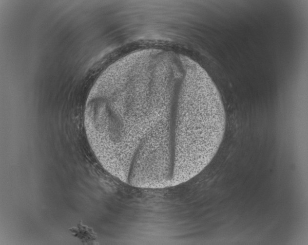 X0000076100870200610202133