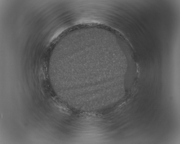 X0000076100871200610202133