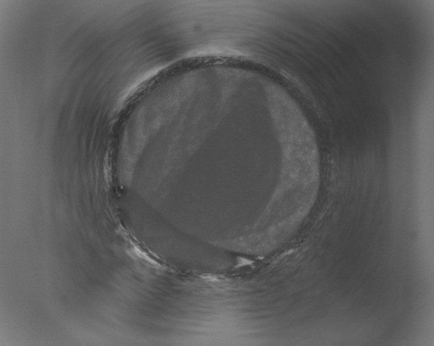 X0000076100872200610202133