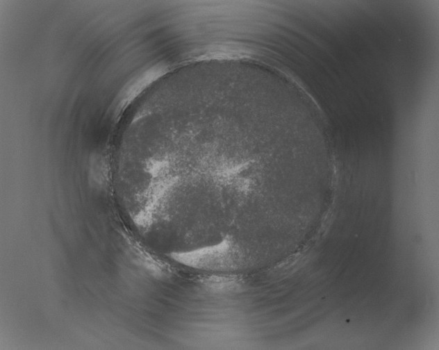 X0000076100874200610202133