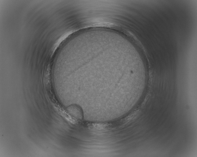 X0000076100875200610202133