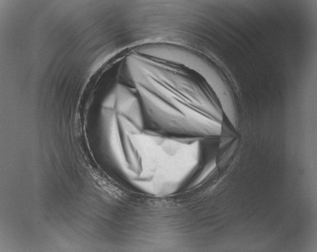 X0000076100876200610202133