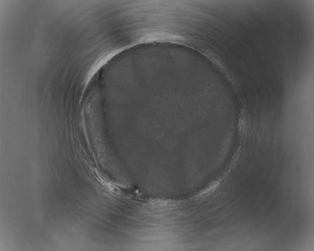 X0000076100877200610202133