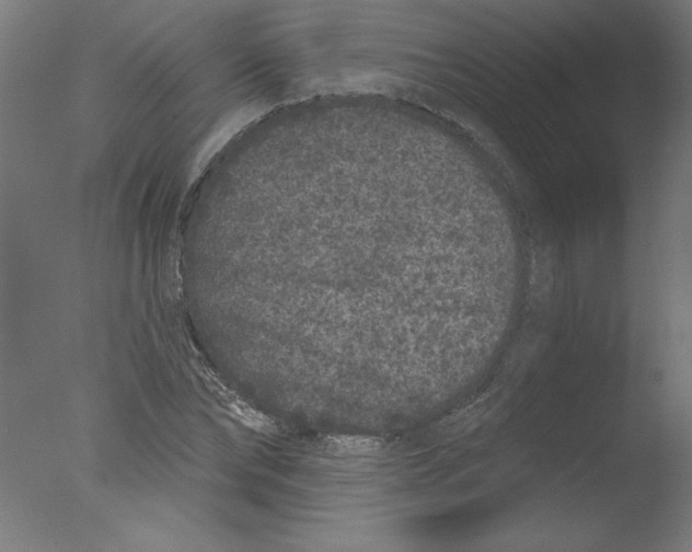 X0000076100878200610202133