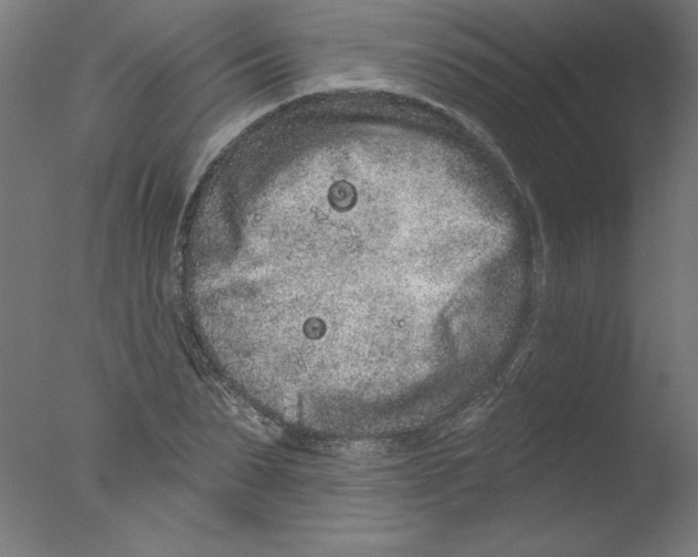 X0000076100879200610202133