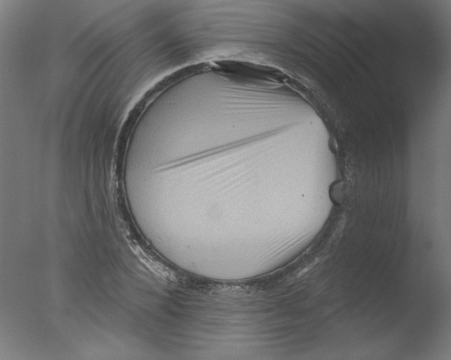 X0000076100880200610202133