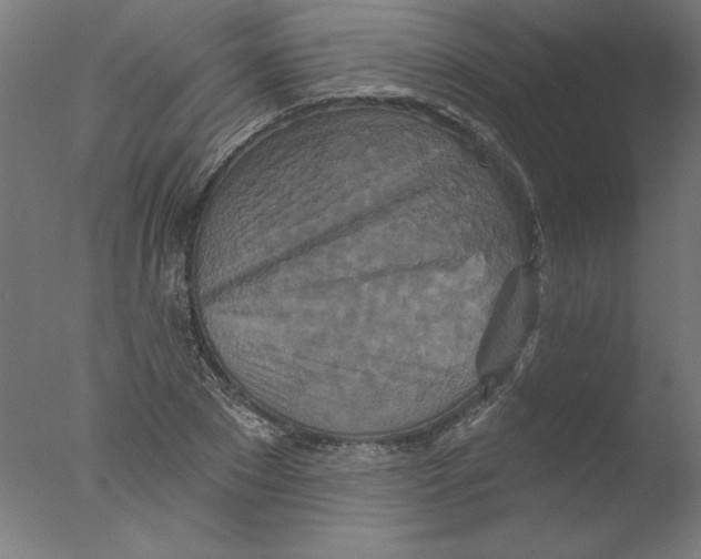 X0000076100881200610202133