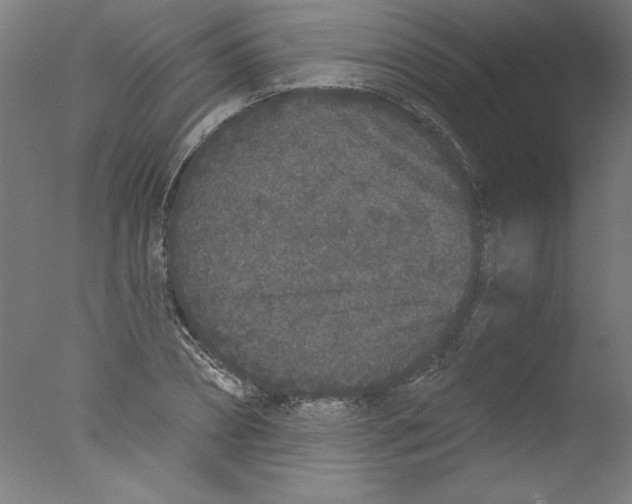 X0000076100882200610202133