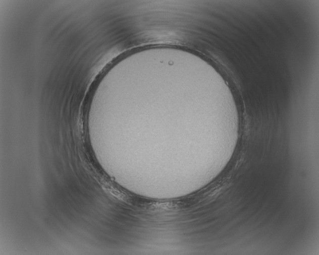 X0000076100883200610202133