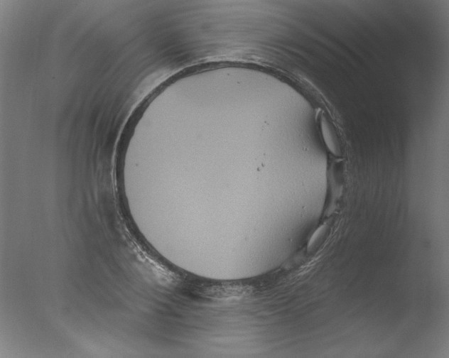 X0000076100884200610202133