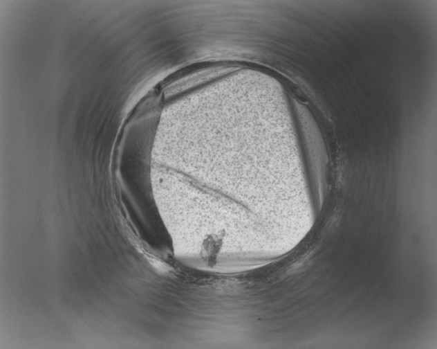 X0000076100885200610202133