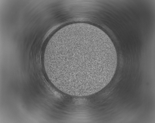 X0000076100886200610202133