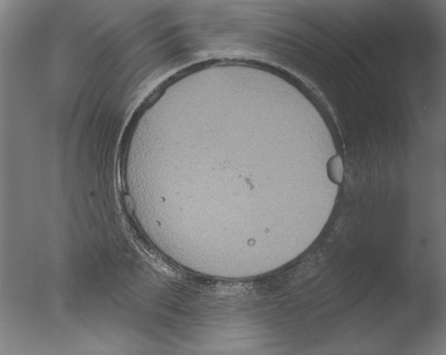 X0000076100887200610202133