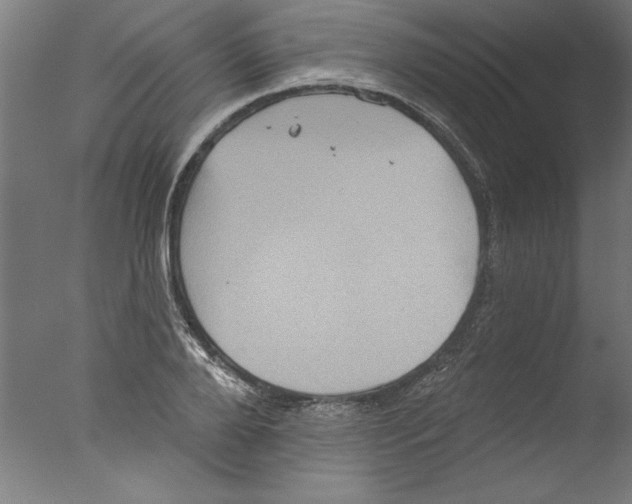 X0000076100888200610202133