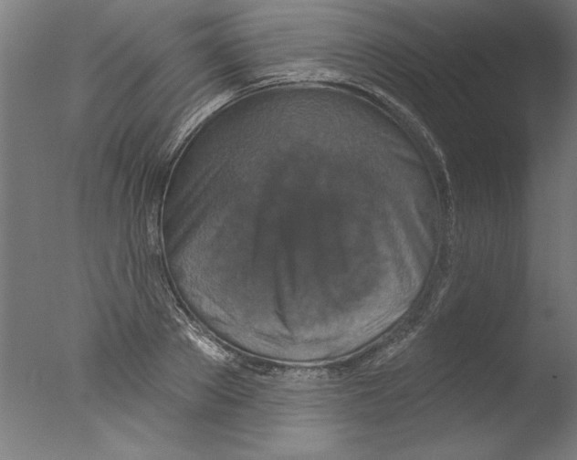 X0000076100889200610202133