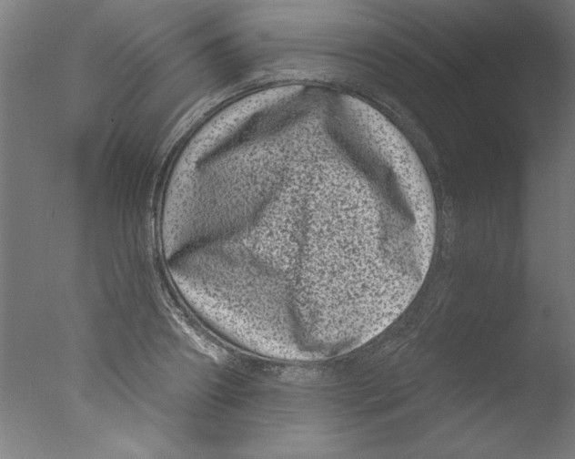 X0000076100890200610202133