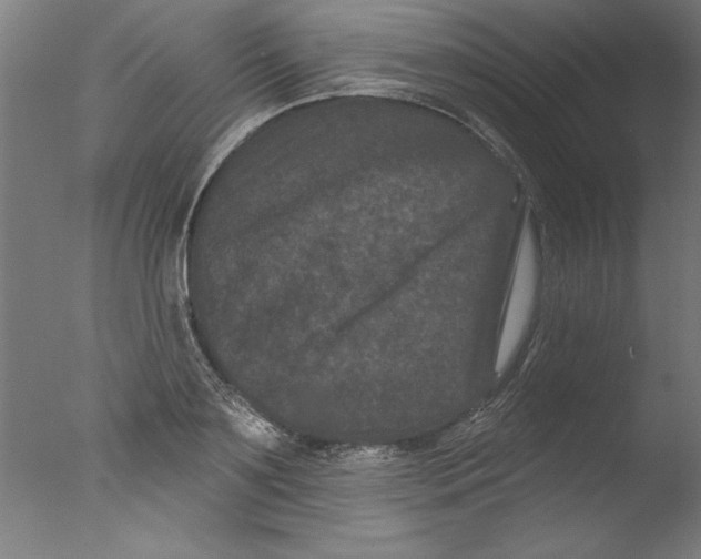 X0000076100891200610202133