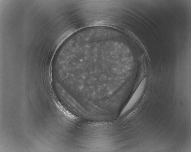 X0000076100892200610202133