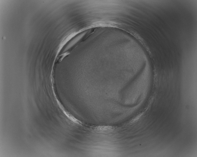 X0000076100893200610202133