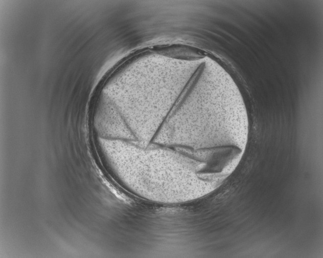 X0000076100894200610202133