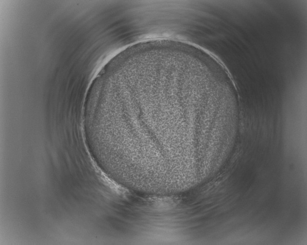 X0000076100895200610202133