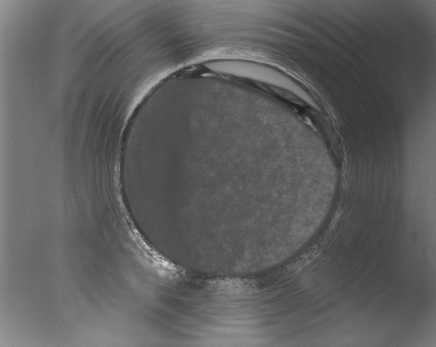 X0000076100896200610202133