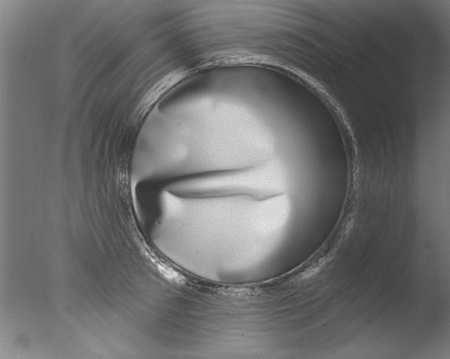 X0000076100897200610202133