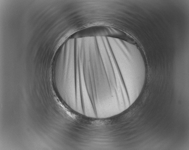 X0000076100898200610202133