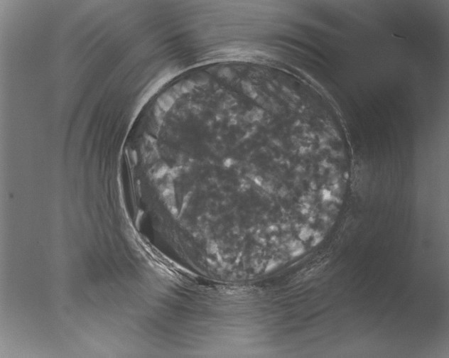 X0000076100899200610202132