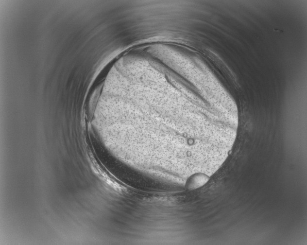 X0000076100900200610202132