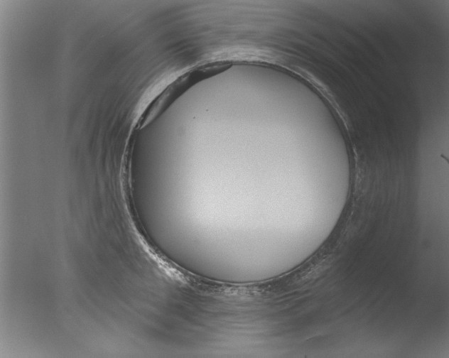 X0000076100901200610202132