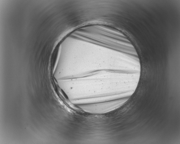 X0000076100902200610202132