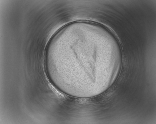 X0000076100903200610202132