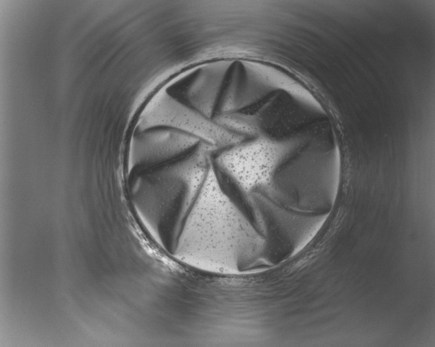 X0000076100904200610202132