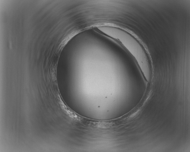 X0000076100905200610202132